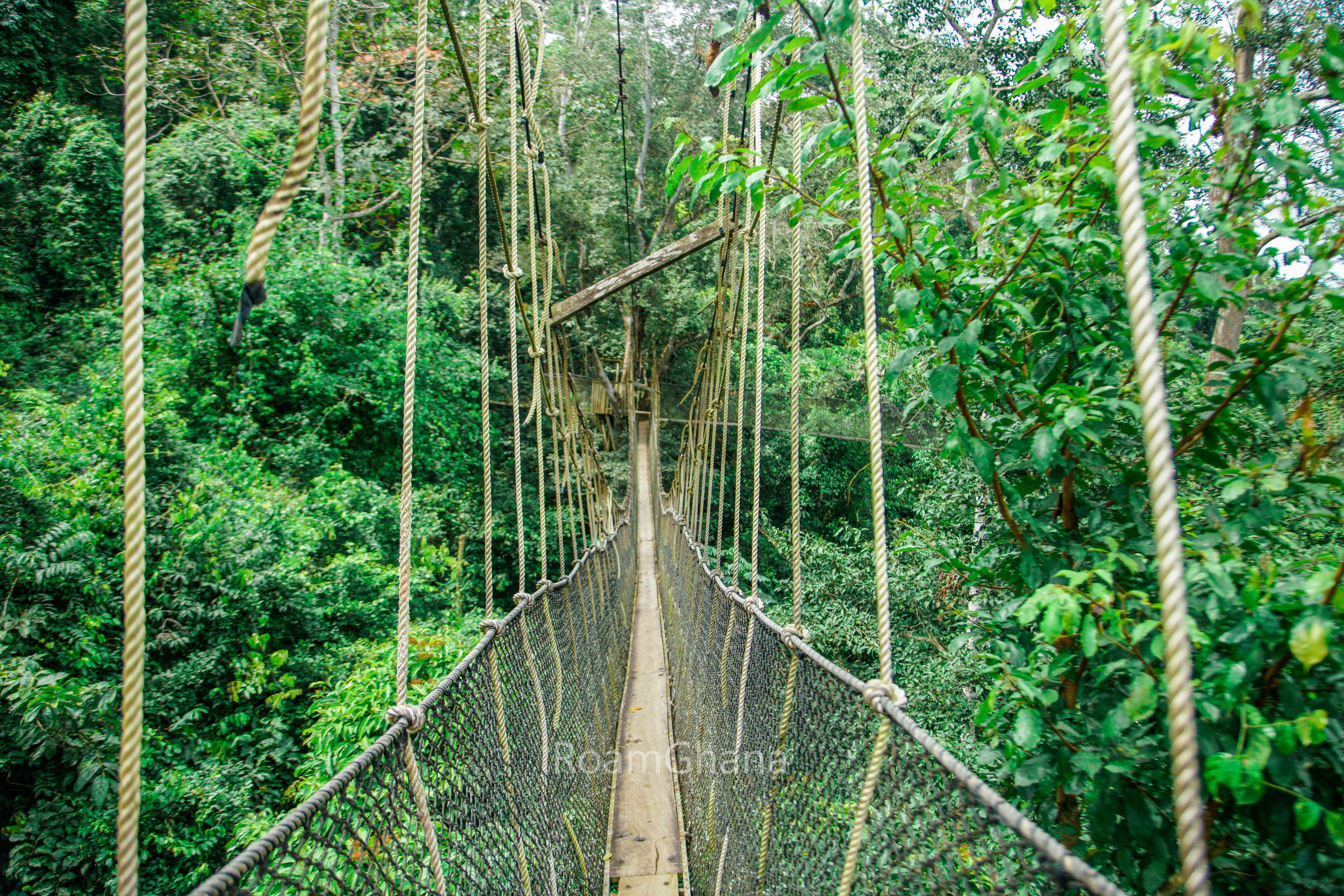 Kakum National Park