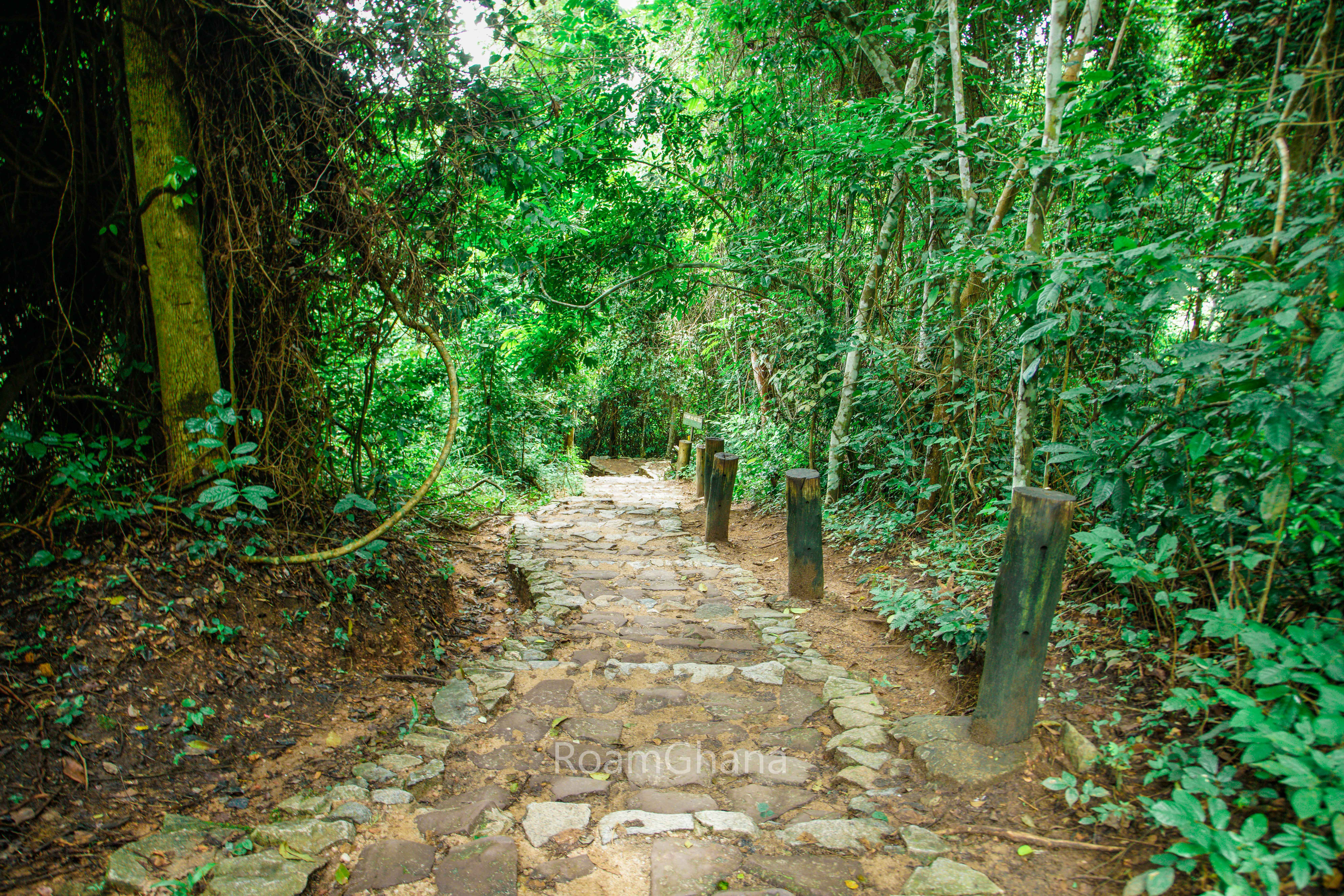 Kakum National Park
