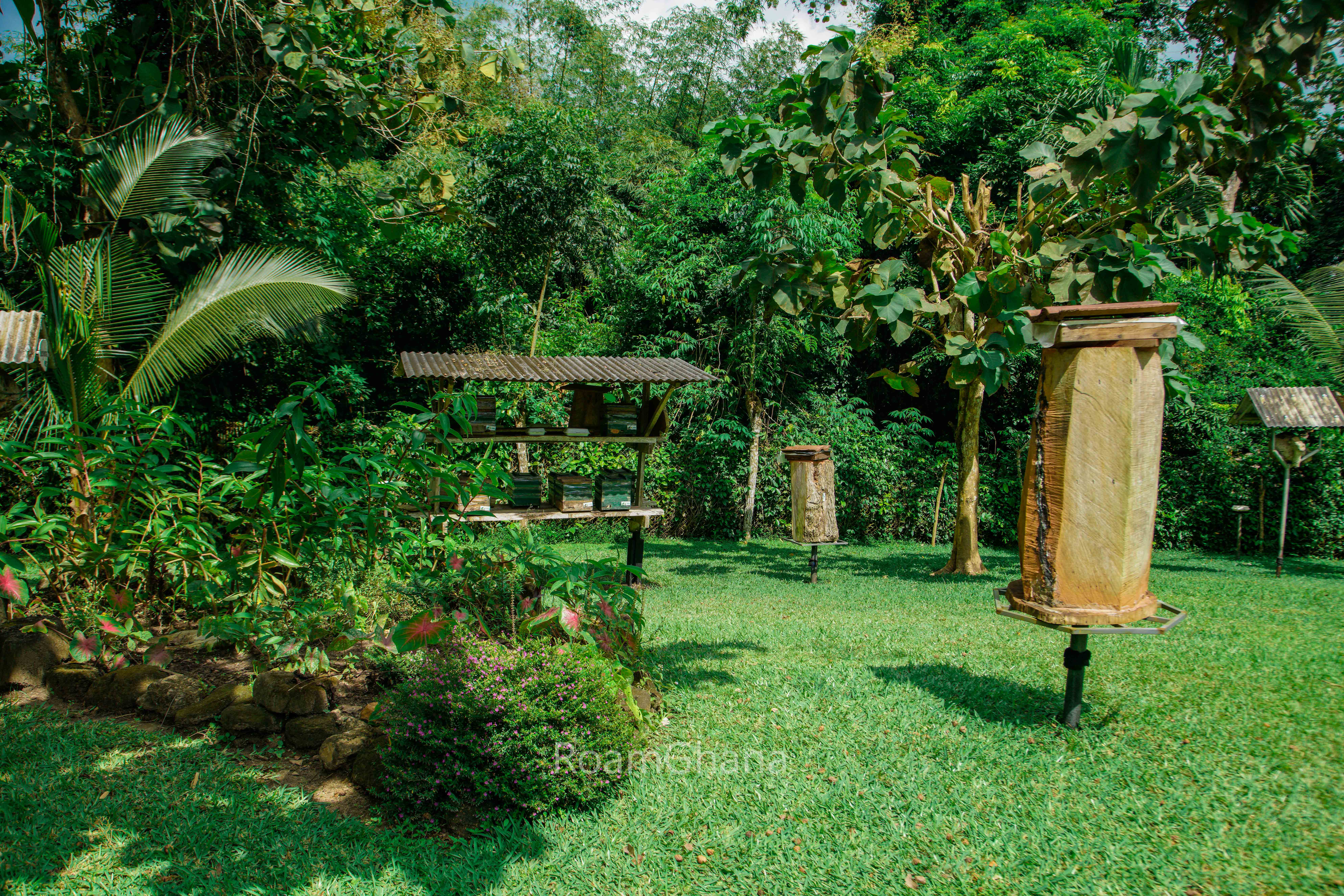 Hillside Guesthouse in Ho - Image 1