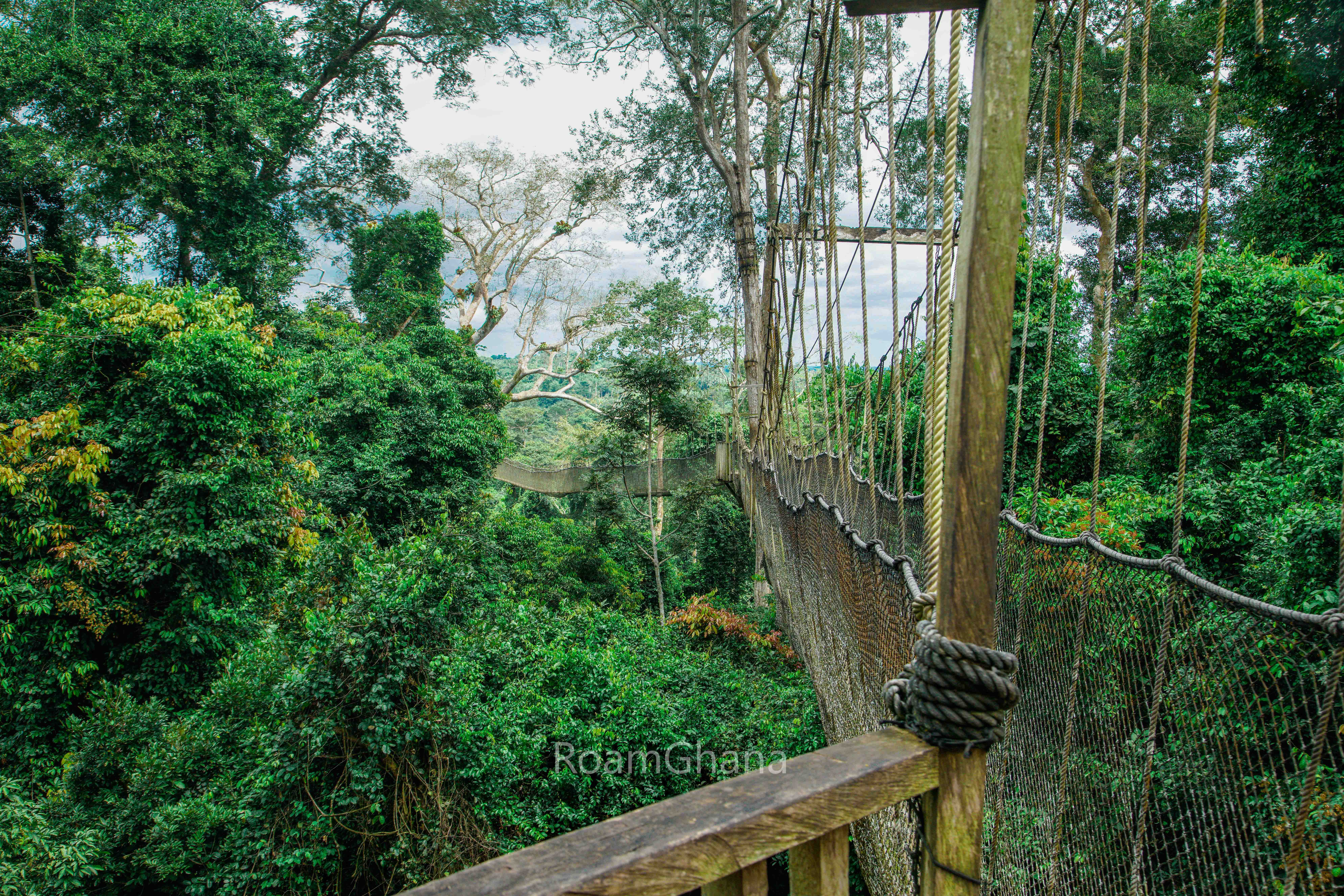Cozy Guesthouse in Cape Coast - Image 2